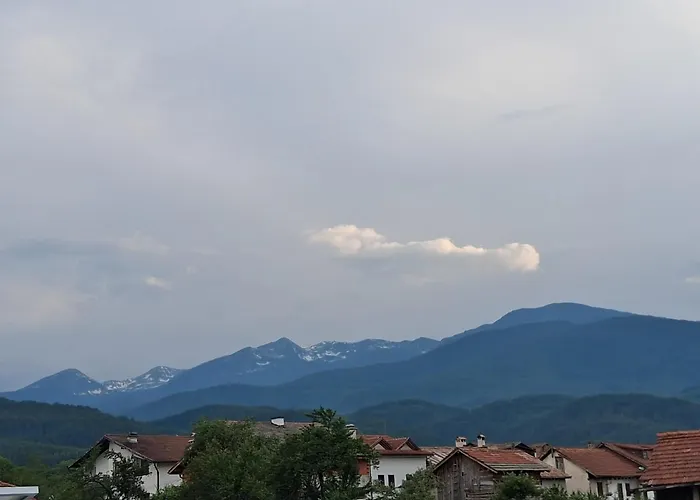 דירה белчини *